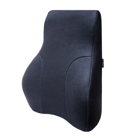 Full Lumbar Support Cushion